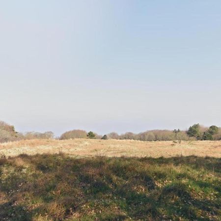 Apartment Hazenborgh Near Coast In Callantsoog Esterno foto